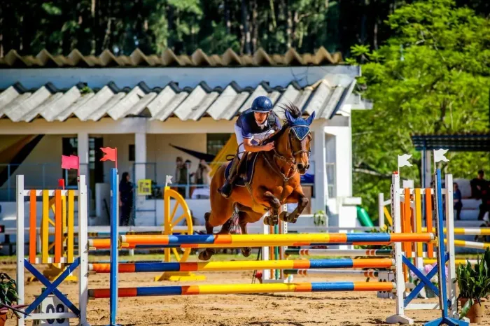 Cavalo de hipismo