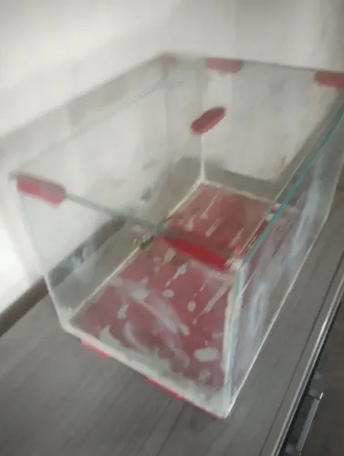 Aquário de vidro para decoração