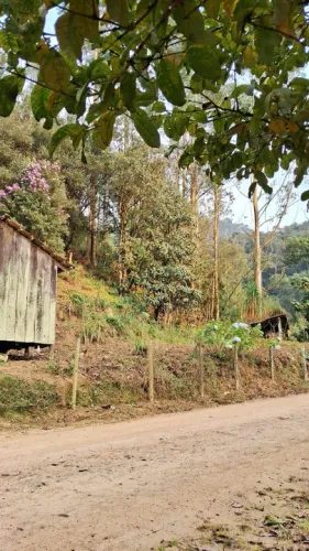 Terreno 1.000 m² para chácara em Anitápolis-SC 