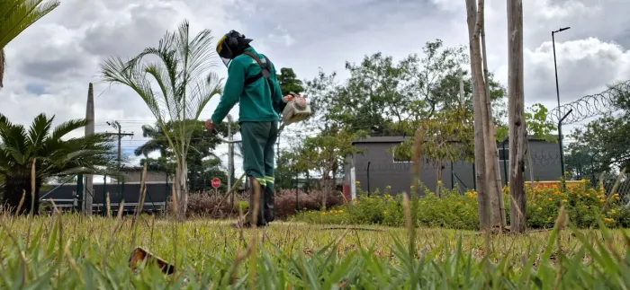 Jardineiro e paisagismo
