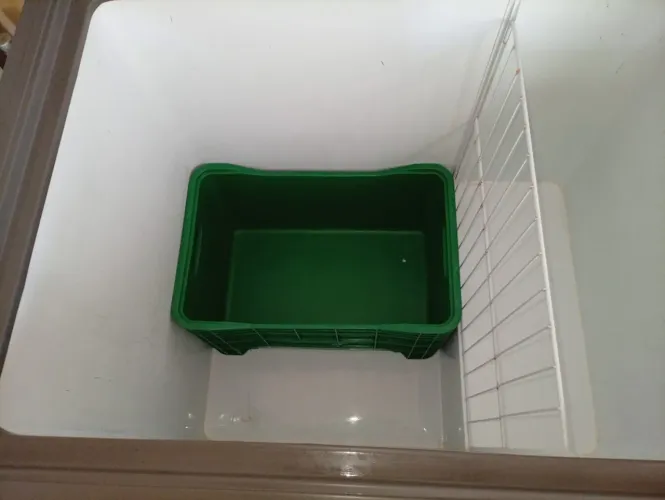 Caixa plástica verde