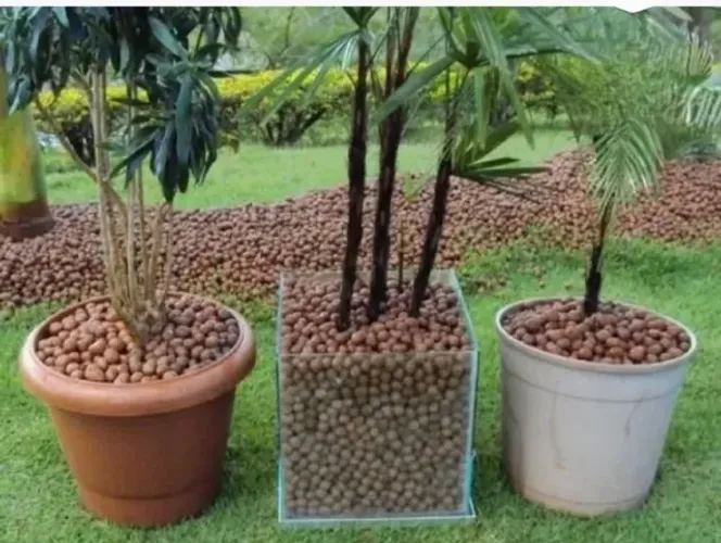 Argila expandida, promoção frete grátis. Saco-20kg p jardim e construção civil