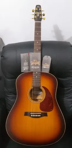 VIOLÃO GODIN (Seagull , Rustic )