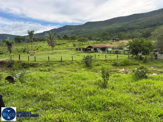 Fazenda à Venda em Paranã (TO) 597 Alqueires | Alto Potencial