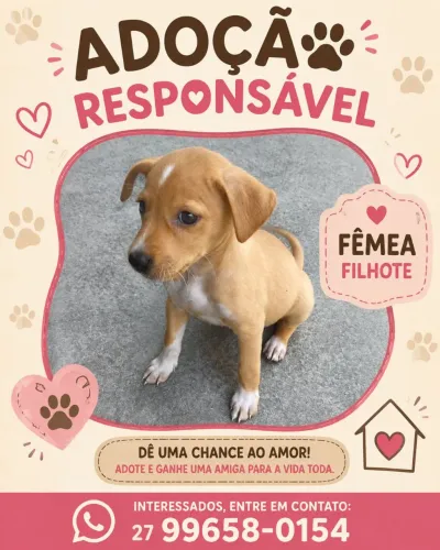 Filhotes para adoção 