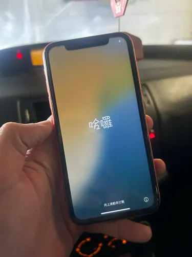 iPhone XR 256 