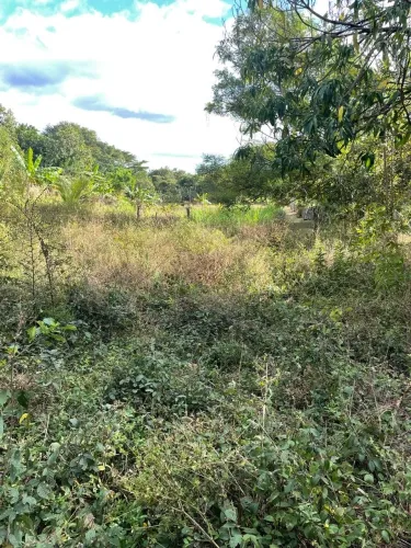 Lote 10x35 com 350 m² à venda