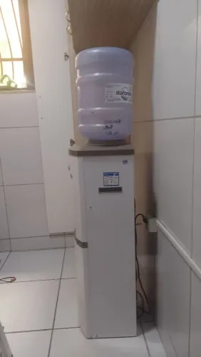 Gelagua de coluna