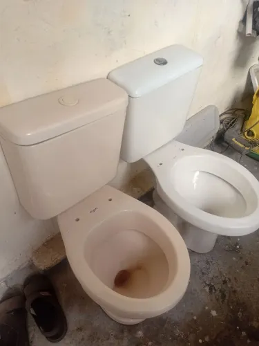 Dois vasos sanitários completos