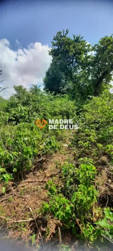 Terreno Gigante 7.628 m² Aracapé | Próximo Metrô Sul e Posto de Saúde - Oportunidade Rara!