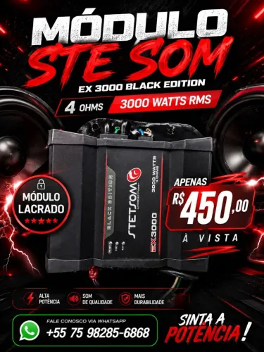 2 Módulo Stetsom EX 3000 4homs e 2
