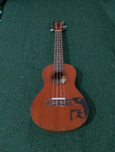 Ukulele shelby-stnt 