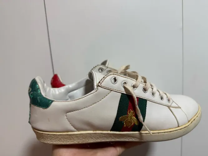 Tênis Gucci We Low Ace