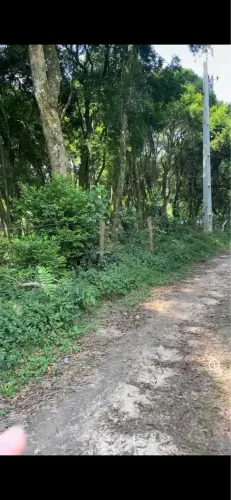 Vendo terreno em São Mateus do Sul/PR