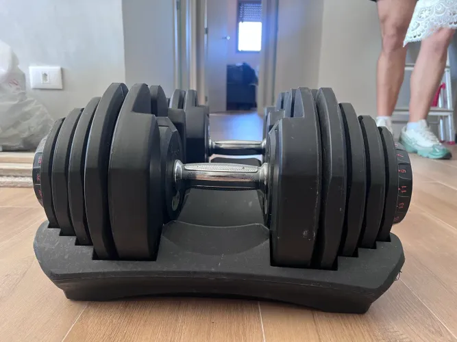 Par de Halteres Ajustáveis Dumbbell 40kg, perfeito estado