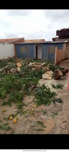 Fazemos podas brutas de árvores e limpeza da terrenos