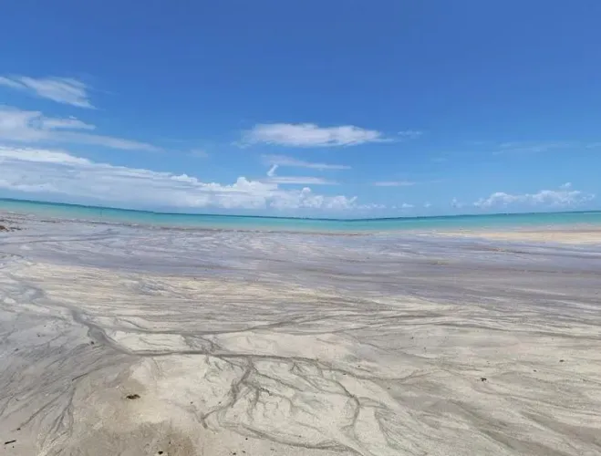 Casa com Piscina e 4 Dormitórios | Maragogi-AL (Caribe Brasileiro) | A 850m da Praia - 3km
