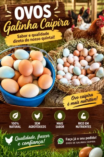 VENDA DE OVOS CAIPIRAS