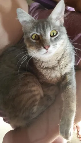 Doação "gaspar"