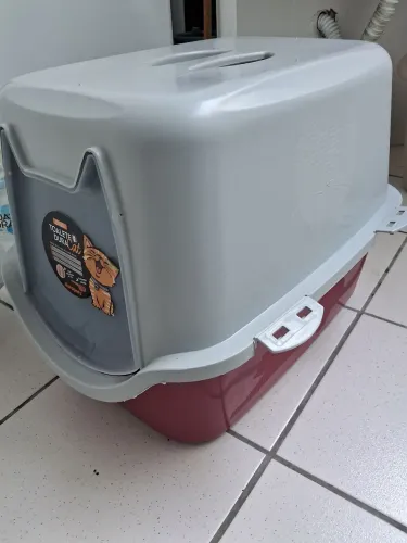 DOAÇÃO - Caixa de transporte e caixa de areia para gatos
