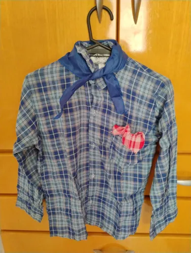 Camiseta