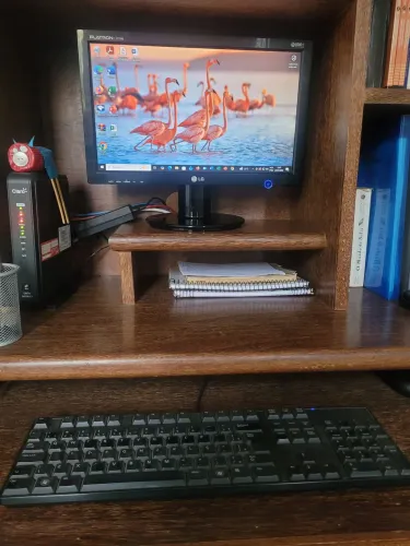 Monitor LG FLATRON L177WS usado
