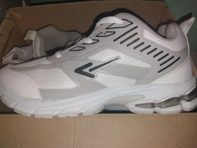 Tenis