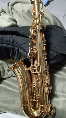 Saxofone alto (slade) muito novo pouquíssimo uso 