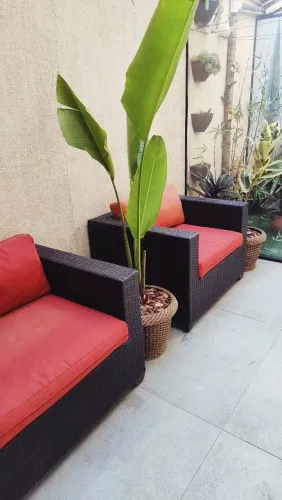 2 poltrona e 3 vasos de plantas 