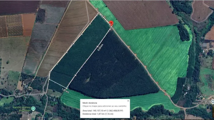 Terra 3 alqueires, com plantio de Eucalipto 18 km de Anápolis