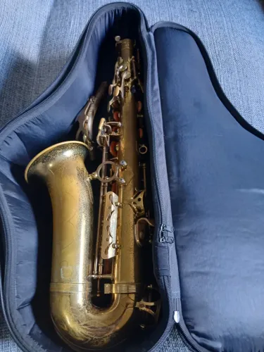 Sax alto Shelter