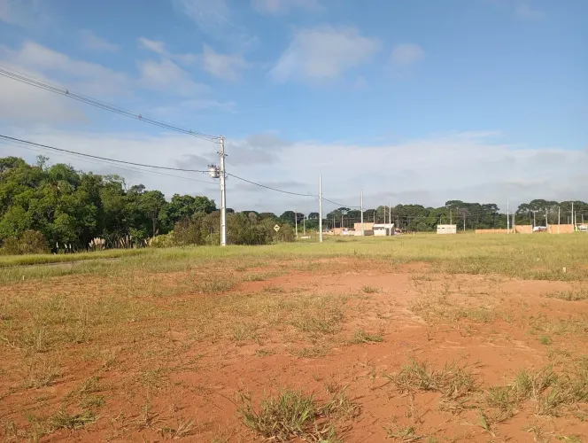 Repasso terreno no fazenda park