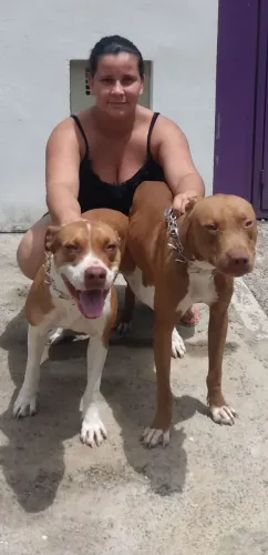 Doação responsável 