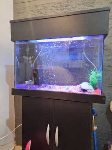 Aquário com móvel 