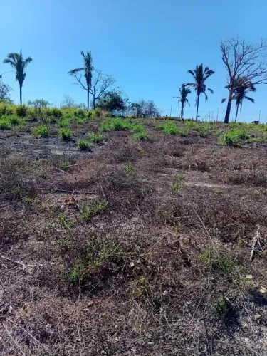 Vende se