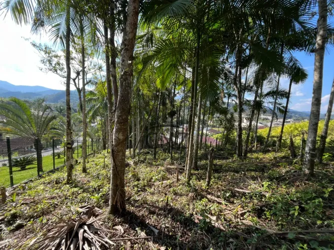 Terreno à venda em Guabiruba-SC, bairro Aimoré, com 6.916,50 m² de área! Venha conferir!