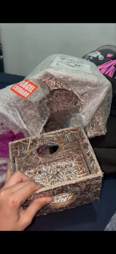 Casinha para Coelho e porquinho Índia