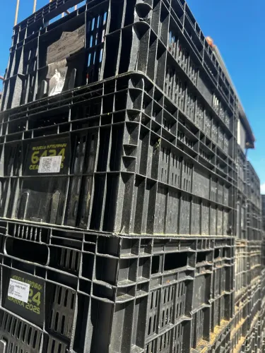 Caixa Ceasa 6424 grade preta organizadora 