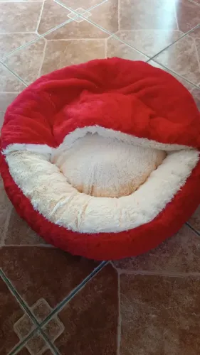 Cama para pet 