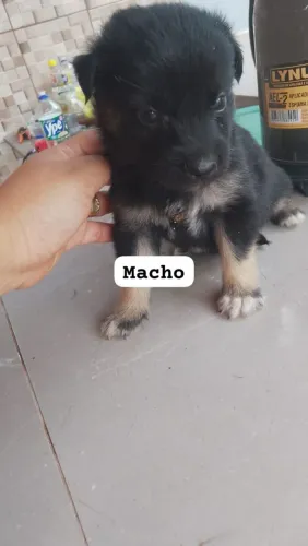 Doação responsável