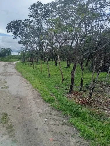 Terreno em Barreirinhas
