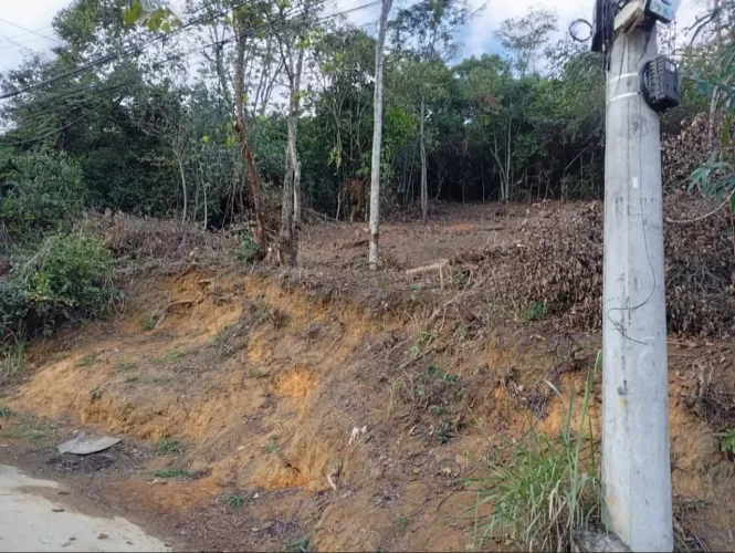 Terreno com muita área verde perto de tudo farmácia açougue mercado padaria colégio praça