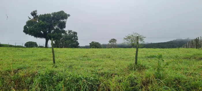 Sitio com. 20 hectares