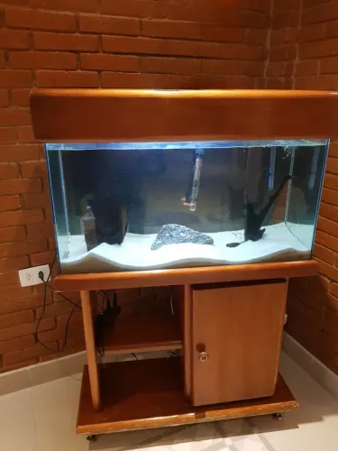 Aquário Completo Com Canister Móvel com Lampada substrato Materias de Limpeza