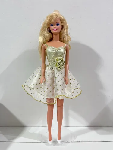Barbie (The Career Collection)