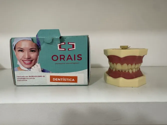 Manequim de Dentística