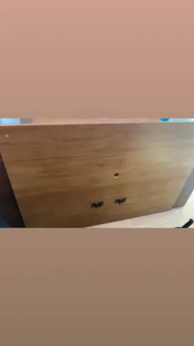 Painel de tv de até 60 polegadas novo