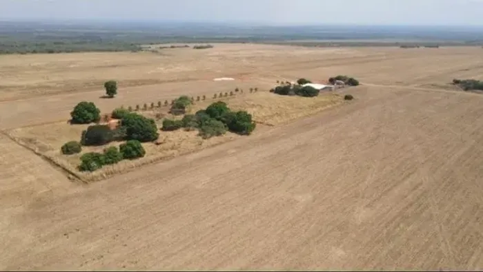 Fazenda de 300 alqueires 75 km de Palmas-TO