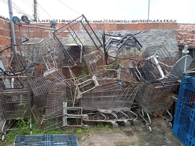 Carrinhos de supermercado no estado 