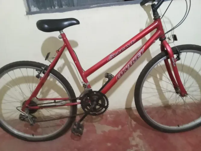 Bicicleta Country Serena